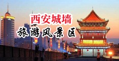 女生被人插小穴视频中国陕西-西安城墙旅游风景区
