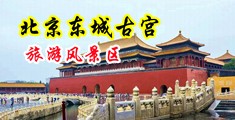 色逼av中国北京-东城古宫旅游风景区